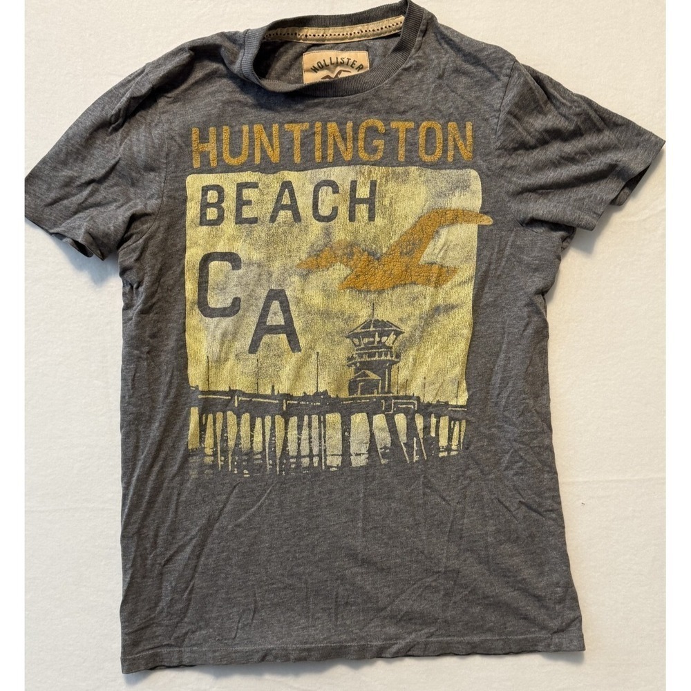 Hollister Co. Women's Medium Size Huntington Beach CA Short Sleeve Gray T-shirt
